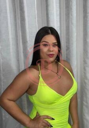 Gabi dotada versátil - 1